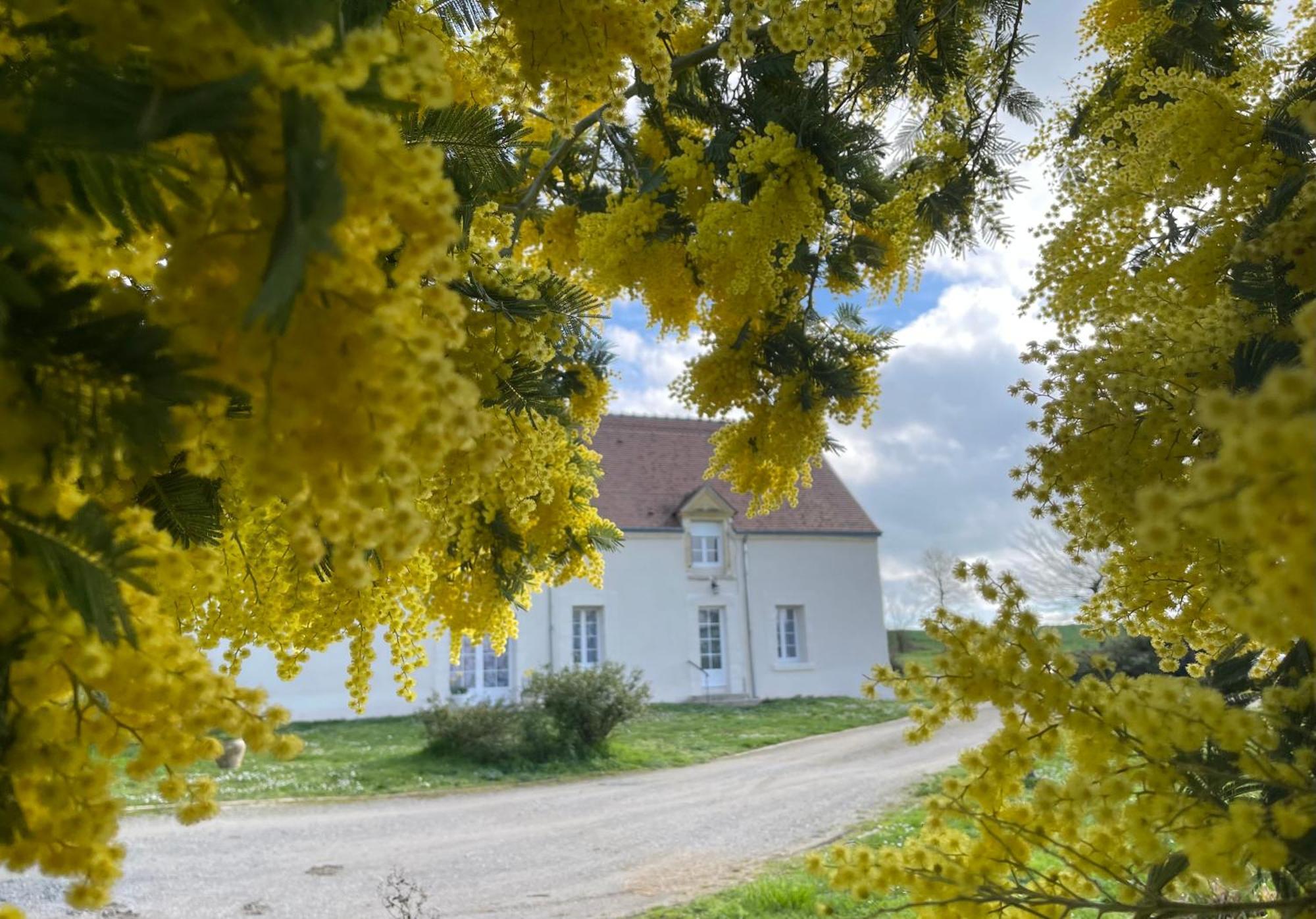 Villa Les Mimosas Gracay Esterno foto